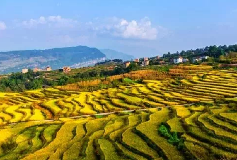 【乡村旅游】全区域旅游改革来临 中国乡村旅游的升级之路