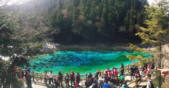 九寨沟年后重开在即 旅游游客已接近300人报团