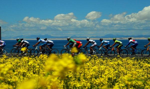 青海旅游基础投资 拟3年内建19.81座厕所