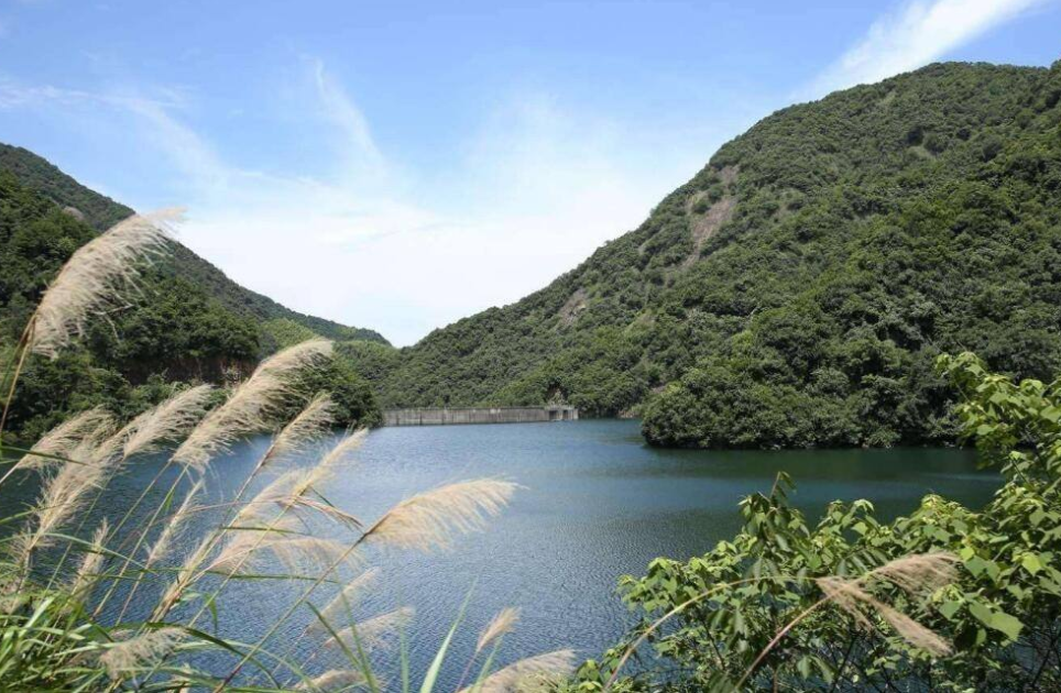 如何将全域旅游发展工作做实做细？要防突击冒进