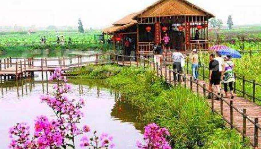 乡村旅游成为经济的新风口 靠品牌上台阶