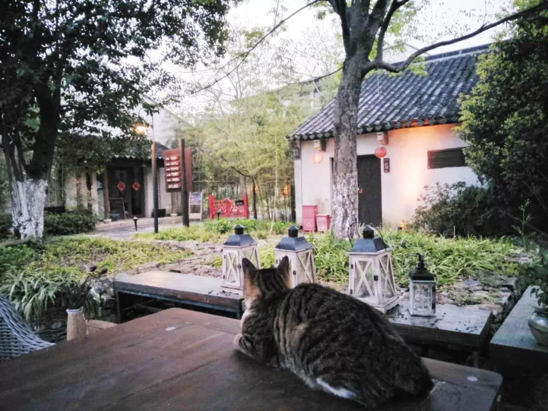 市场消费升级 住宿业如何抓住制胜的“金钥匙”？