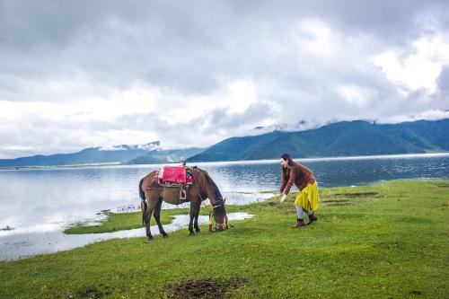 世茂与世博集团签署协议 将推进小镇和旅游合作