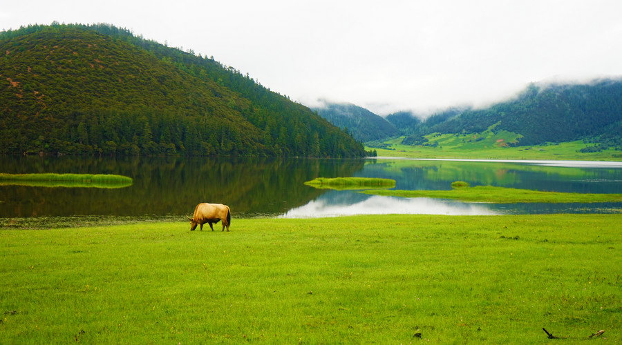农旅融合 让每个城市都有香格里拉的味道