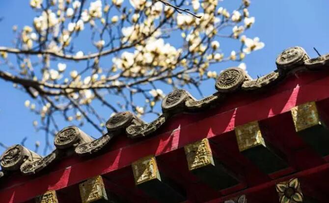 中国7大地产集团抢滩布局特色小镇的谋略、打法和误区