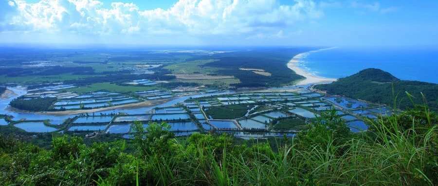 广州南沙发布旅游业扶持办法细则： 新建5A级景区  企业可获奖千万