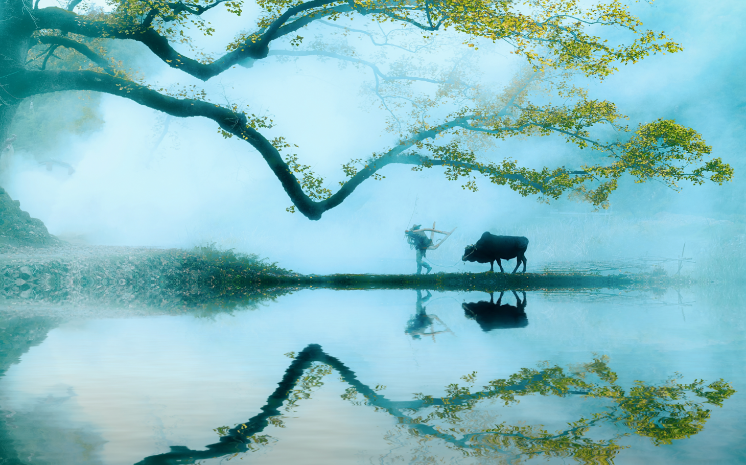 山东省文旅集团首个乡村振兴项目落地  打造莲花山景区