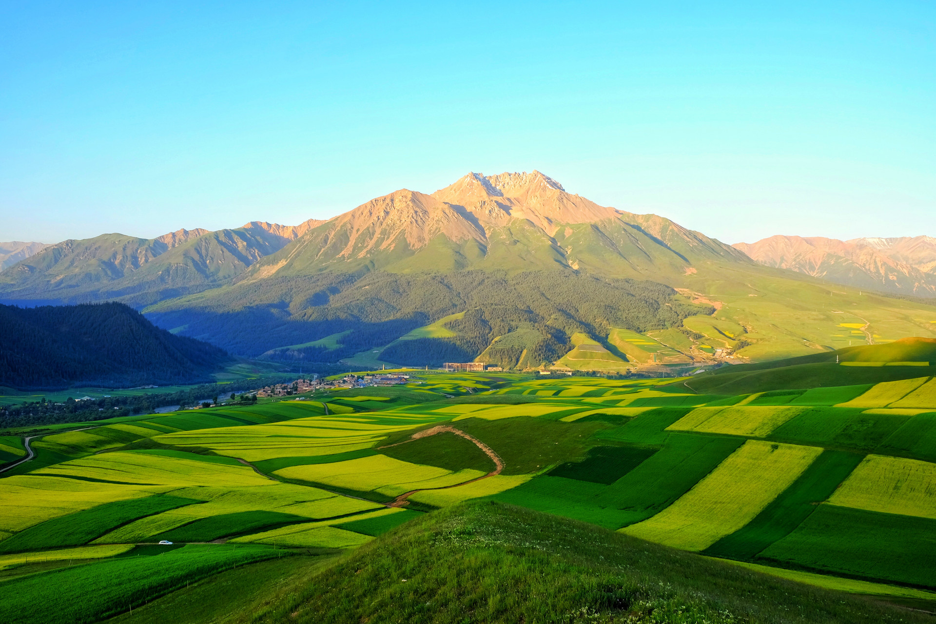 文化和旅游部第1号部令聚焦什么内容