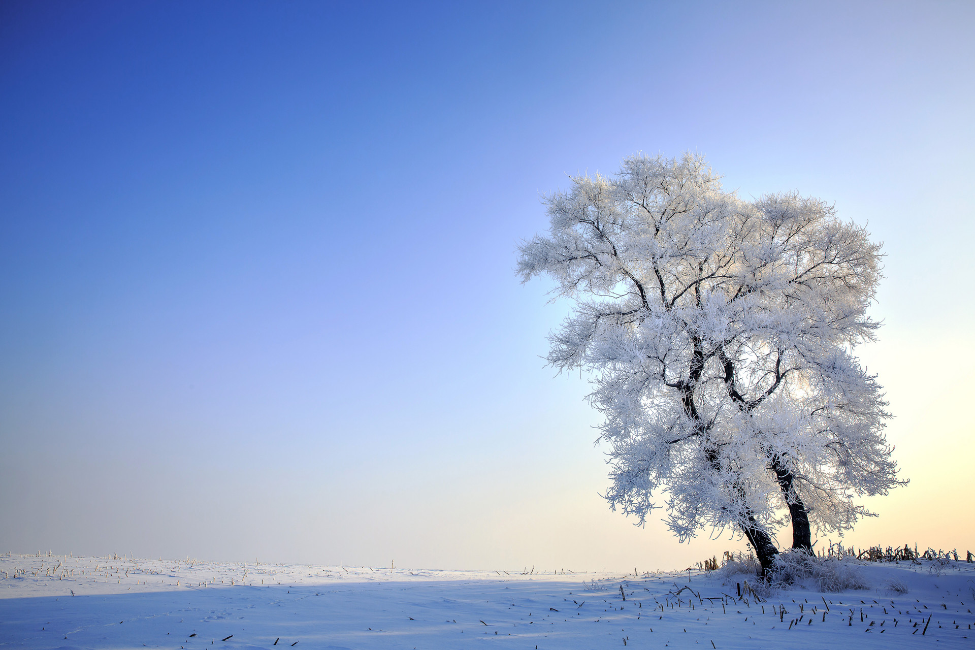 五省市冬季旅游市场：开发冰雪资源 打造热门产业