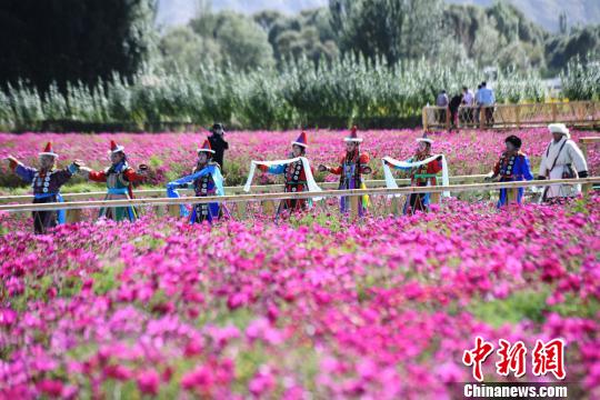 甘肃培育十大生态产业 文旅融合“爆发式”增长