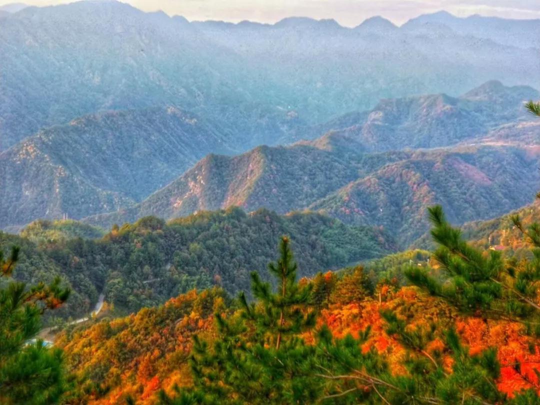 能人带动乡村旅游 堆谷山的内生集聚式发展之路