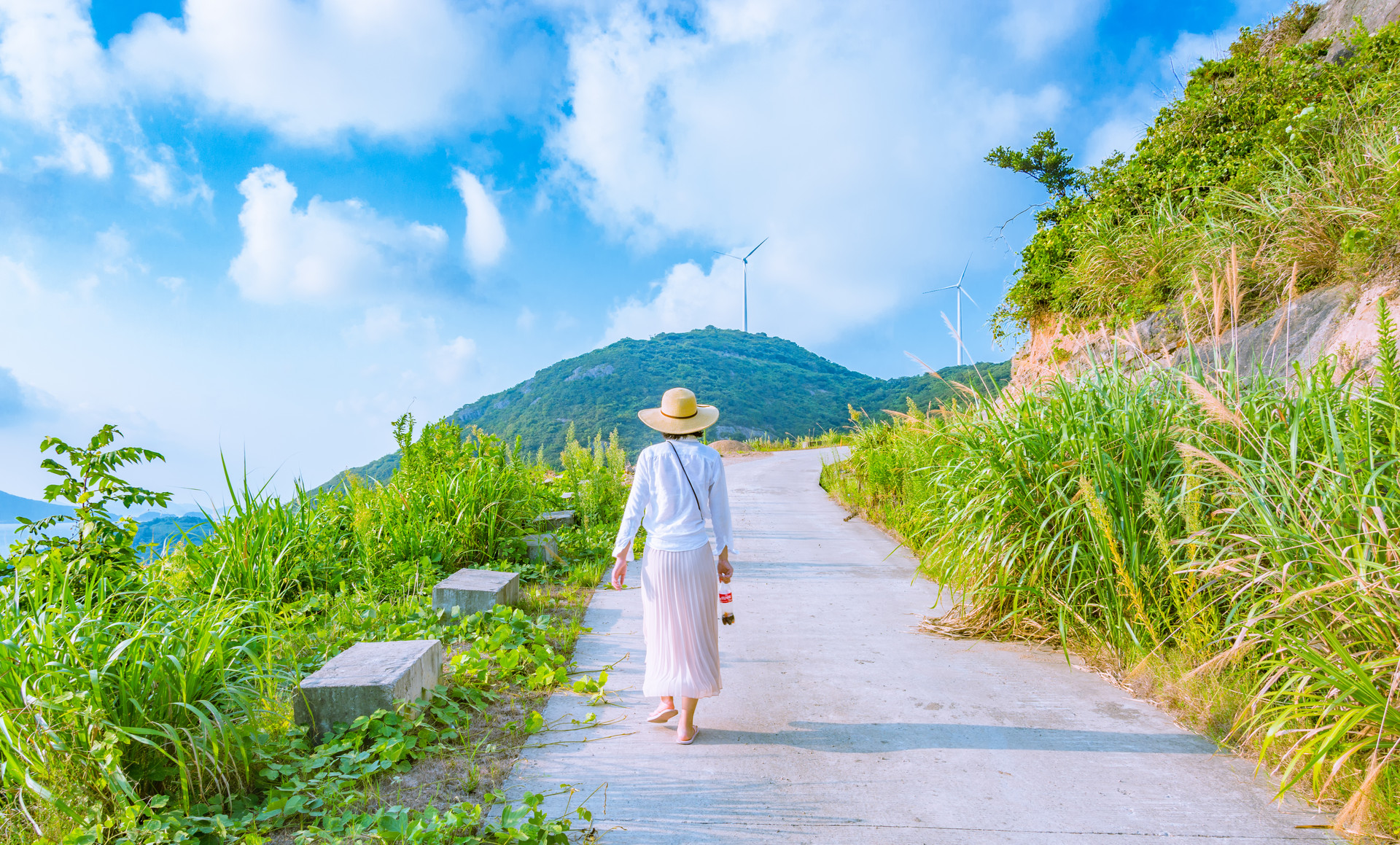 云南省再取消两家旅行社经营许可