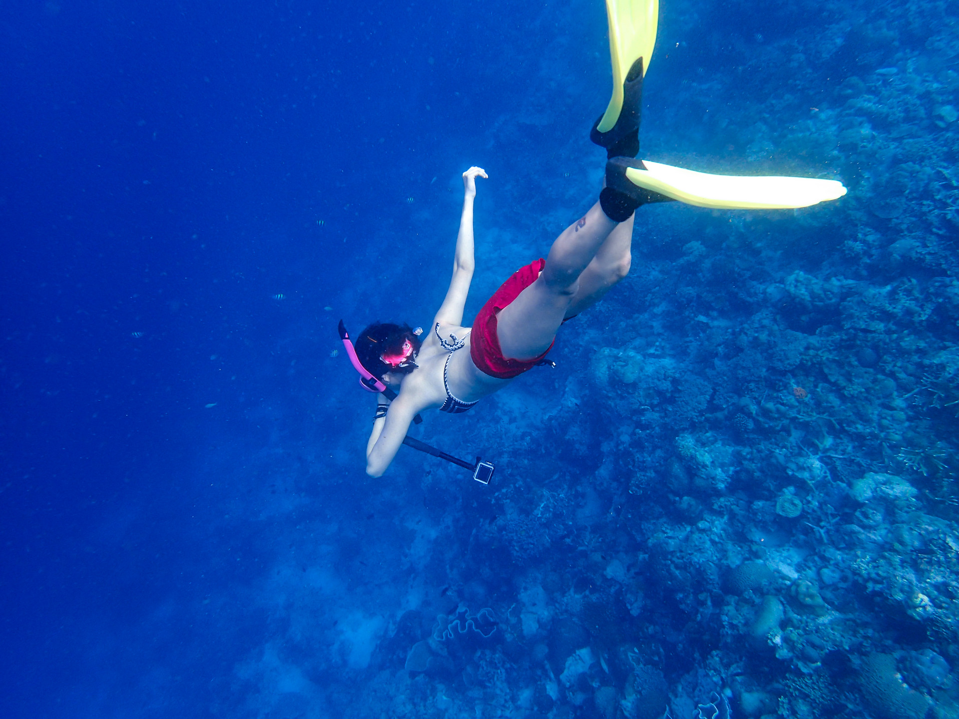 健康生活方式平台“深潜DeepDive”完成数千万元A轮融资