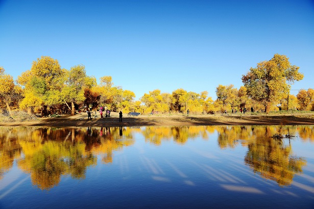 新疆和田地区签约16个文旅项目，投资总额达到109亿