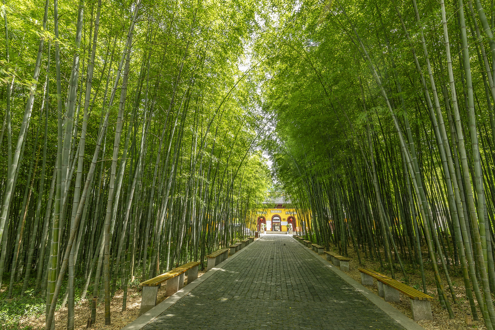 40个城市获得避暑旅游城市授牌