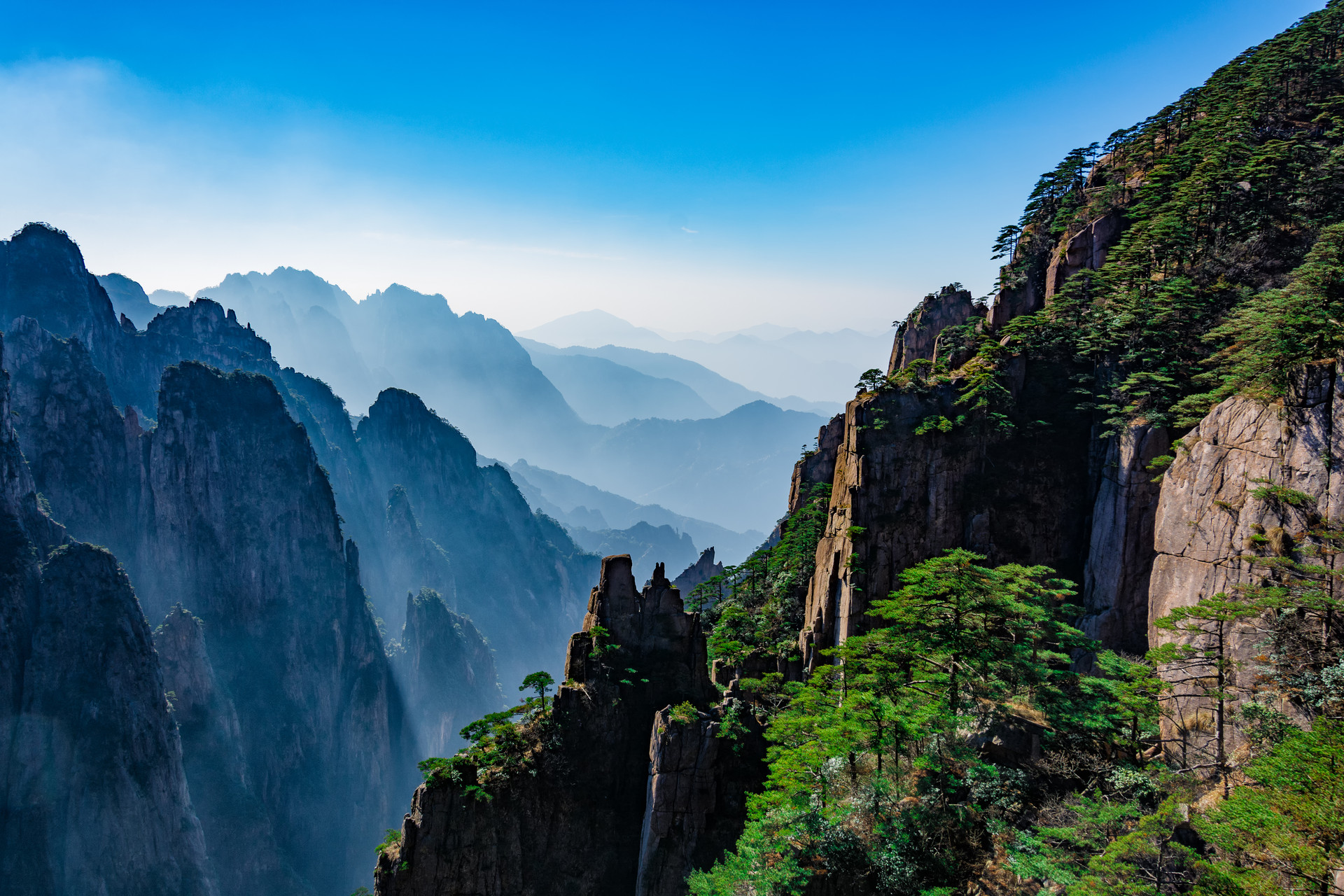 黄山旅游1100万元增资六百里茶业