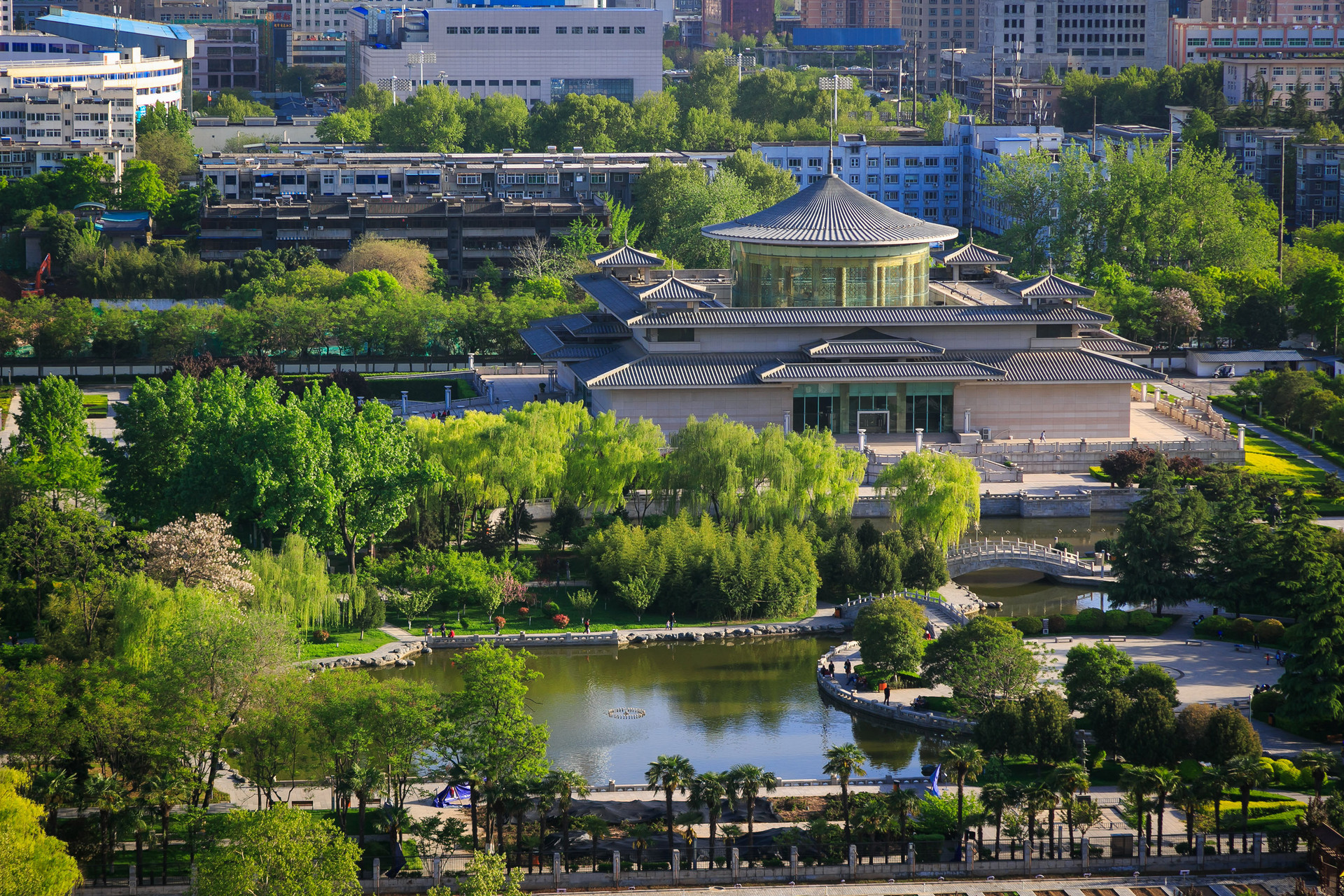 影视IP如何赋能乡村振兴——论述电视剧《岁岁年年柿柿红》赋能陕西富平县乡村振兴之路