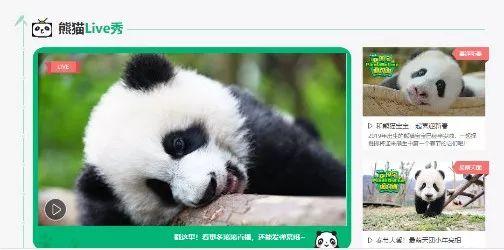 线上动物园能否分羹网红经济