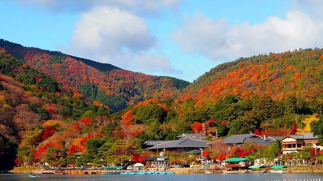 旅游业“停摆”，专家预计春节期间直接损失5500亿元