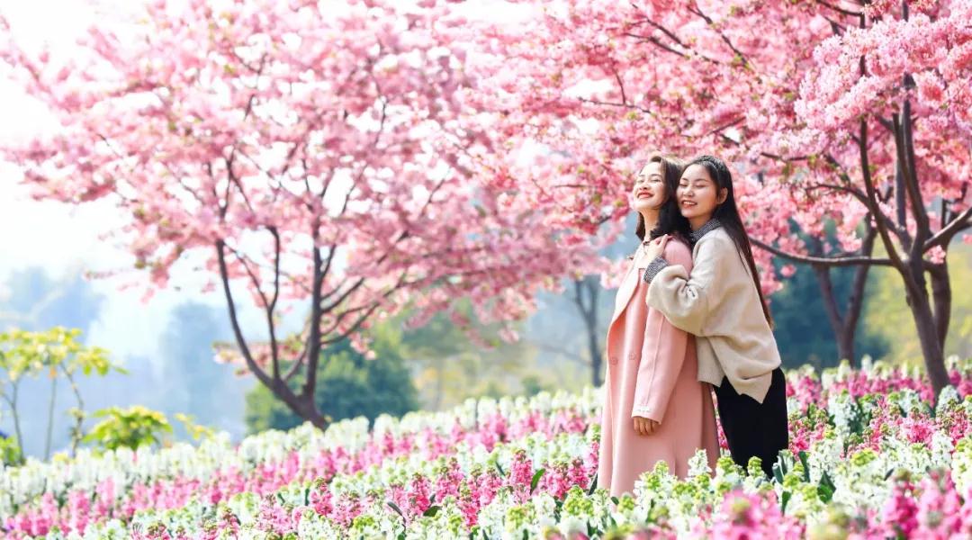 湖北首家景区企业复工 英山四季花海景区有序限流开放