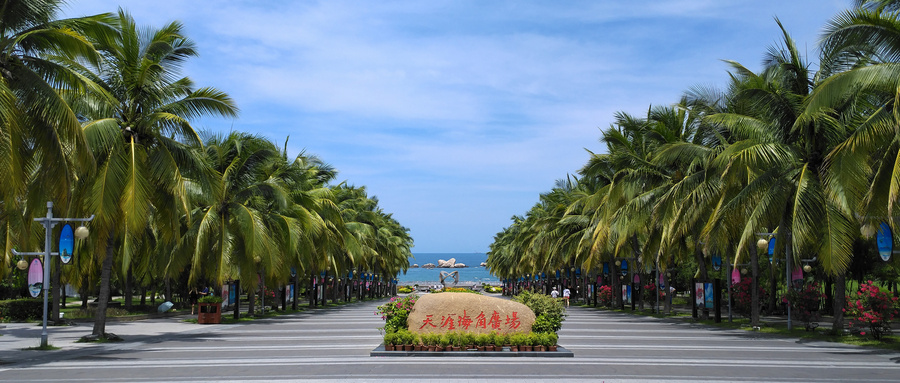 总投资3772亿元！海南今年安排省重点项目105个，旅游业上榜