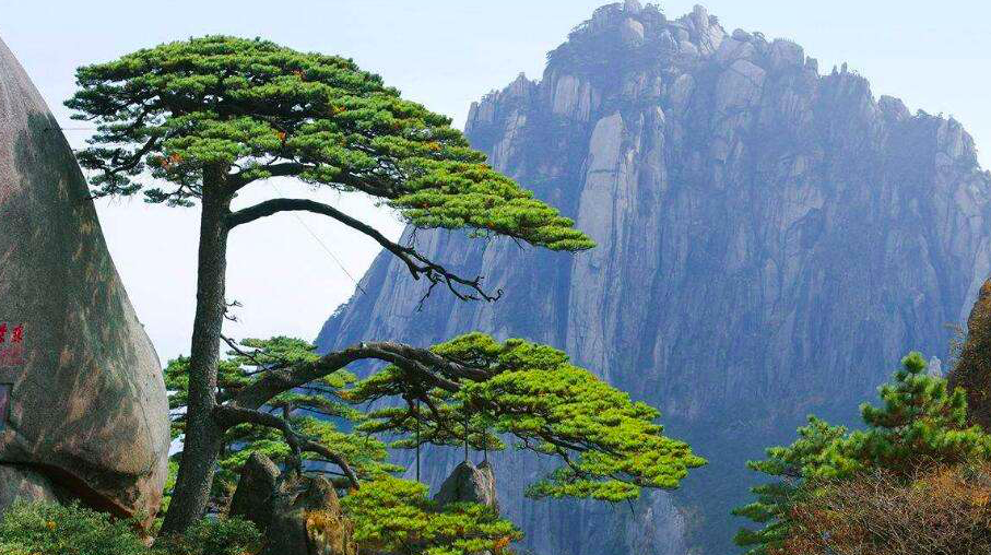 假期前3天，曾经“人从众”的黄山景区咋样了
