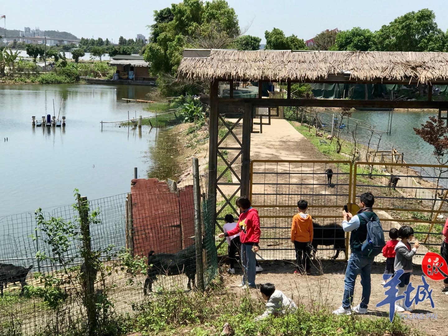 广州本地团队旅游即日起回归！支持48小时无损延改