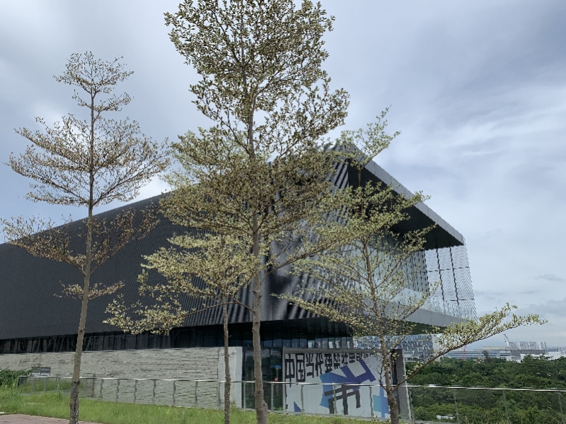 海洋文化+历史+科技……深圳文旅融合探索湾区人文生态游新路