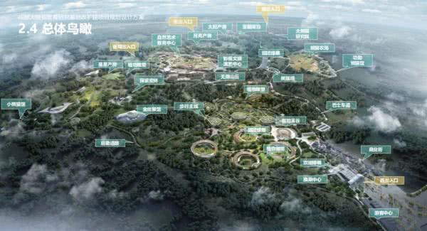 成都将建熊猫国际旅游度假区 力争2035年接待游客2130万人次
