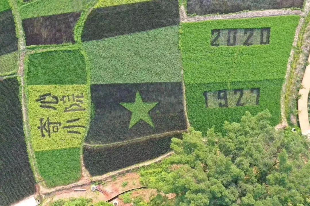 解秘岭南股份灵潭农旅综合体新模式，红色旅游新玩法