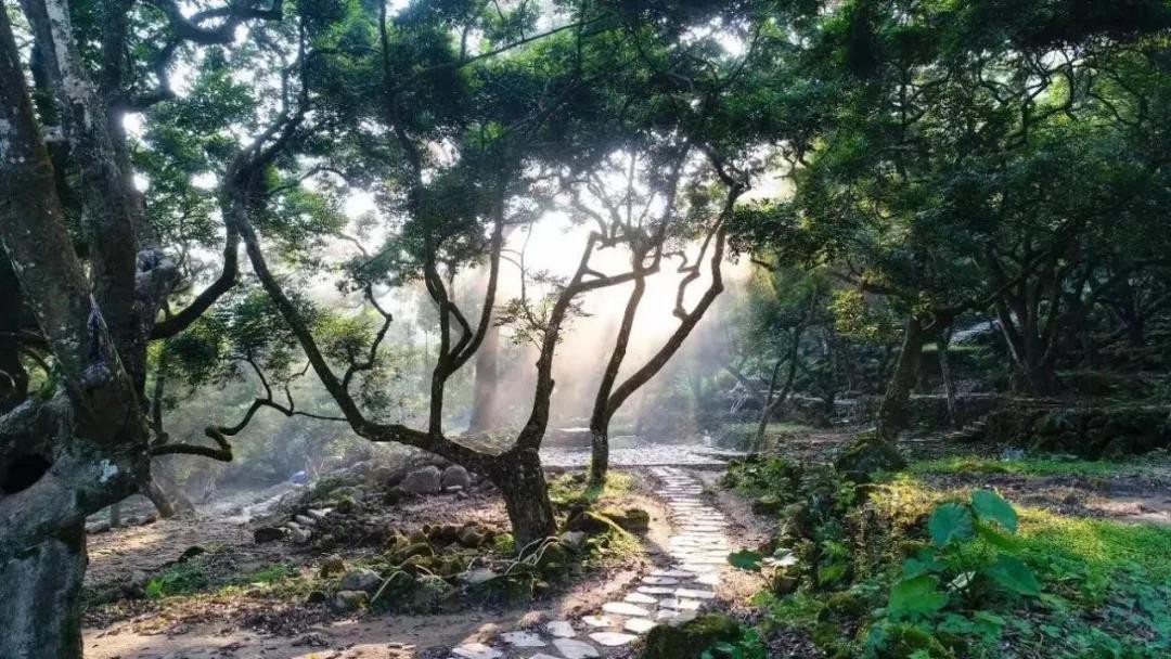 邓山观星小镇盛大开业！大湾区乡村振兴产业发展研讨会在邓山观星小镇召开