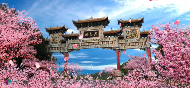 “桃花源IP”如何焕发强劲市场动力？