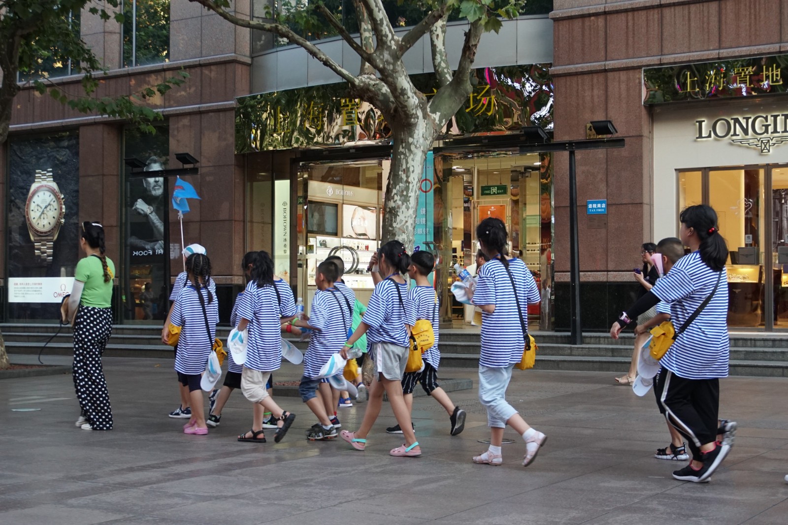谨防研学游变“学而不游” 从业者吁提高门槛