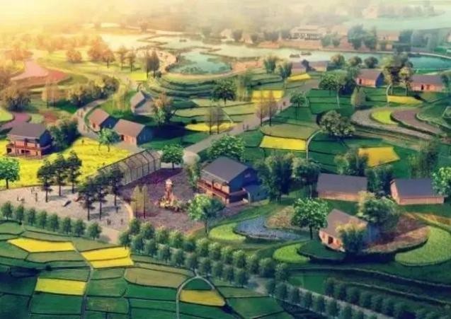 乡村建设要怎么行动？七大观点值得参考