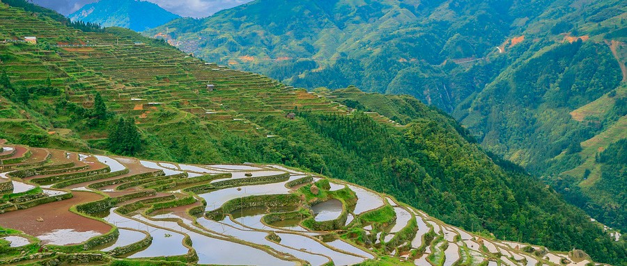 乡村游，美了村庄富了农家
