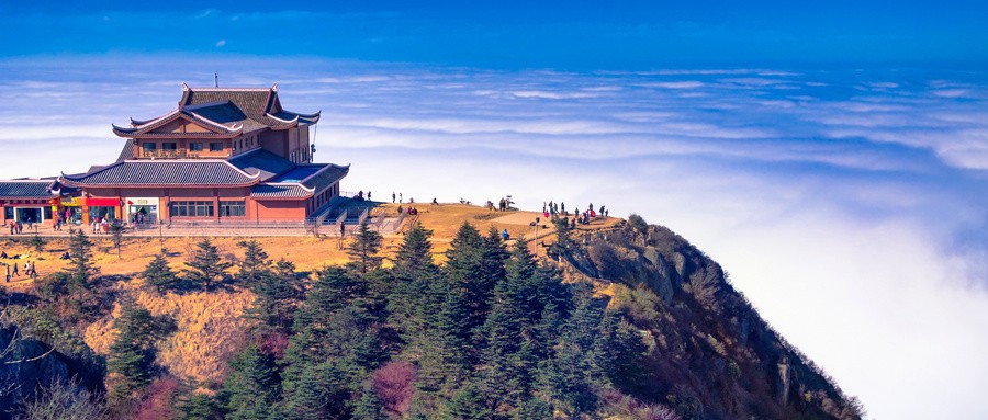 旅游业韧性有多强？上市旅企中期业绩普遍报喜