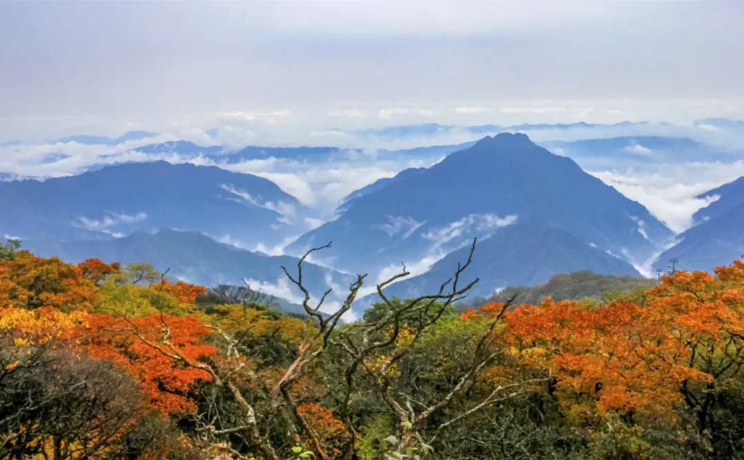 10月10日起 河南432家A级景区对全国游客免票一个月