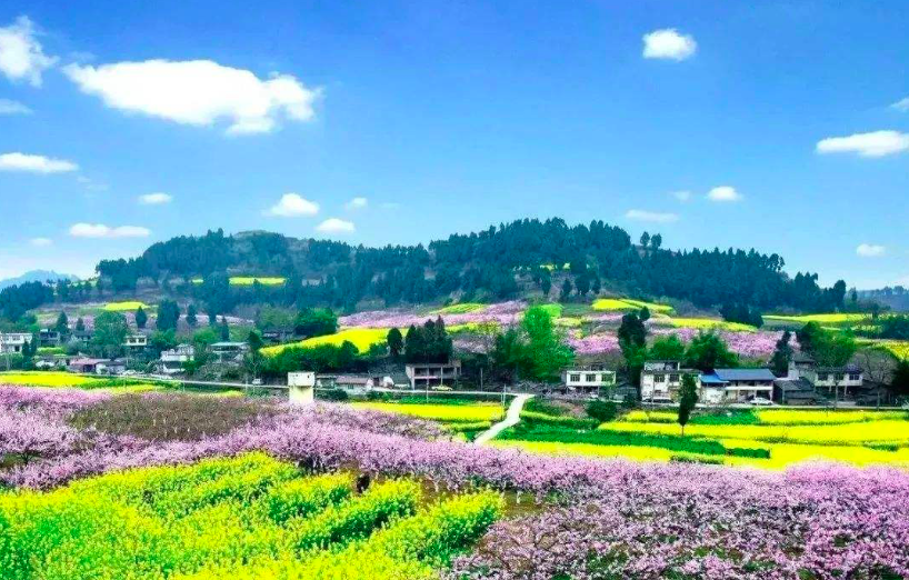 旅游业复苏迎“强心剂”