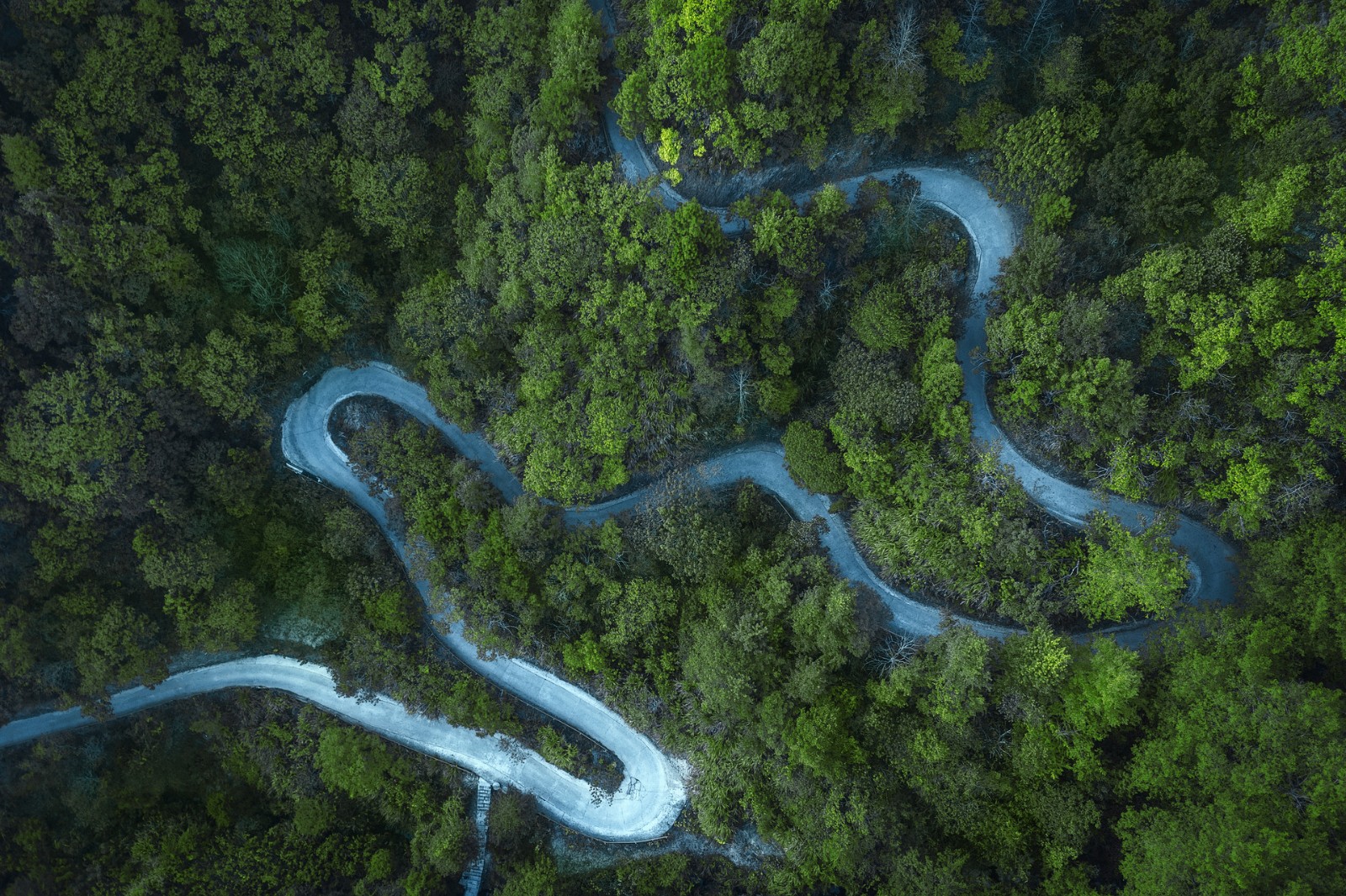 2021~2022旅游绿皮书发布：旅游业正在加速形成新格局