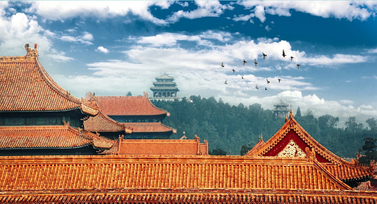 北京暂停在京团队游