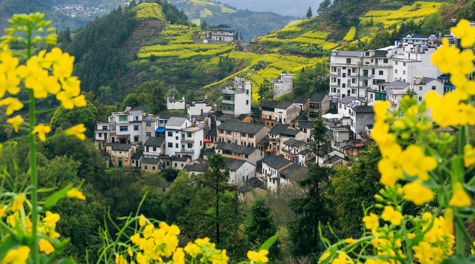 江西：“五一”假期将有序开放文旅场所