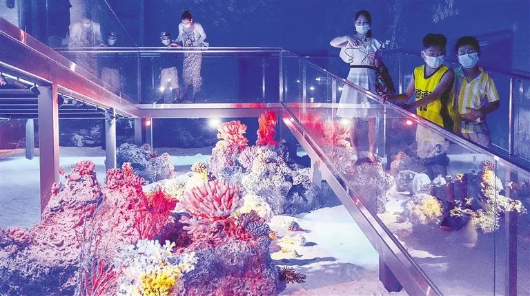 海南“五一”假期接待游客133万人次