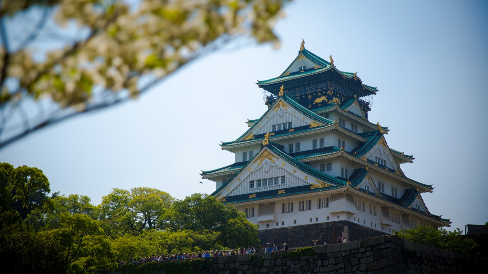 日本拟6月将每日入境上限人数增至2万人