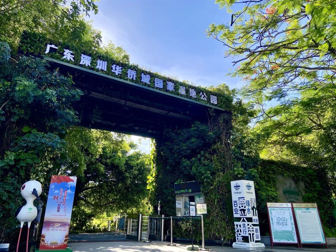 广东认定首批5个高品质自然教育基地 华侨城国家湿地公园入选