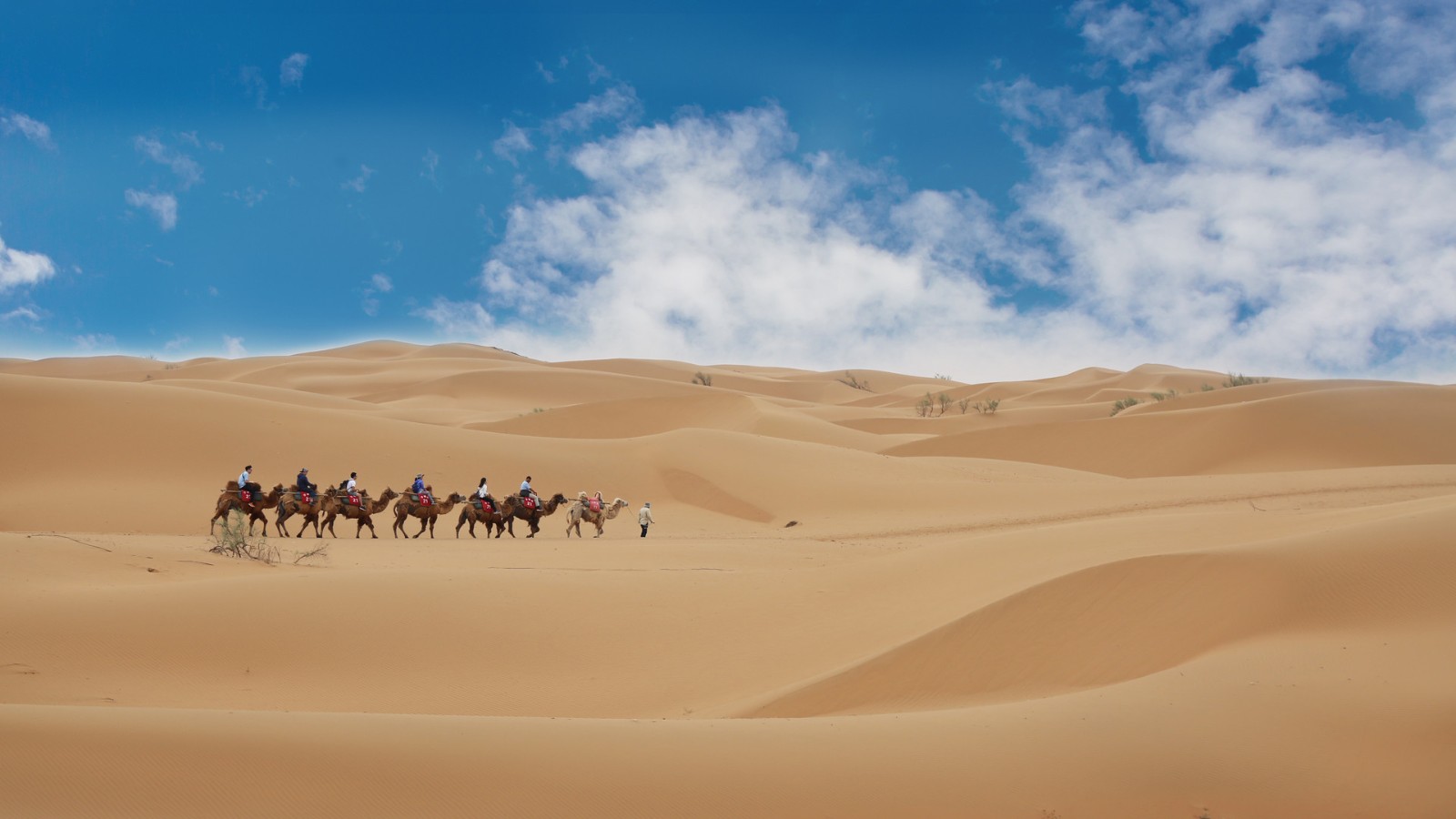 宁夏：打造“二十一景” 加快建设国际旅游目的地