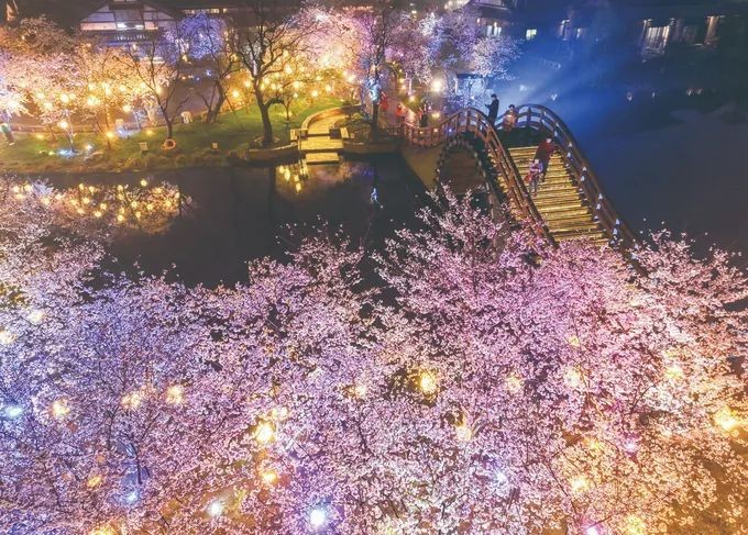 吴国平：推动拈花湾文旅上市 打造中国文旅领军者