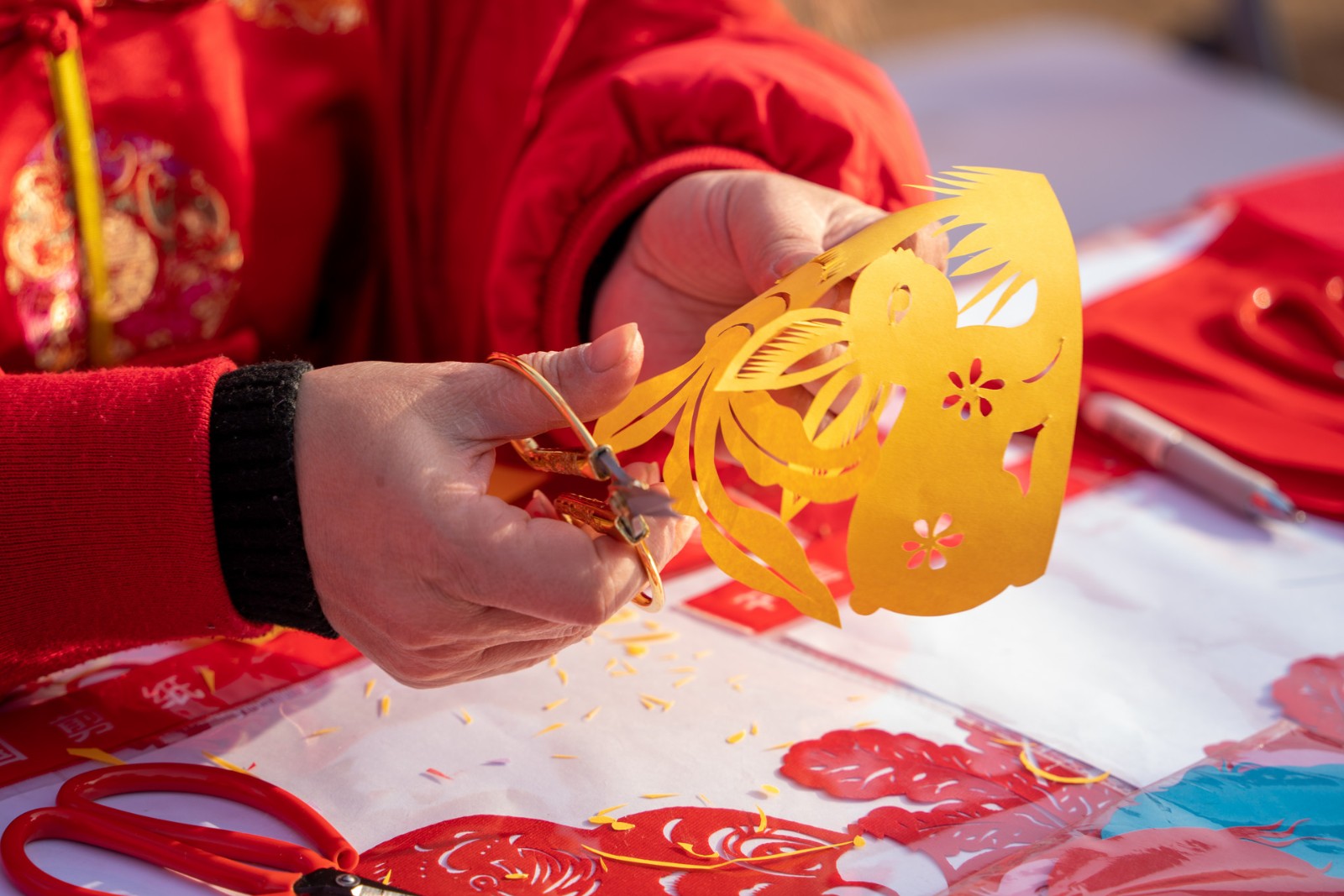 饶权：推进非遗与旅游深度融合发展