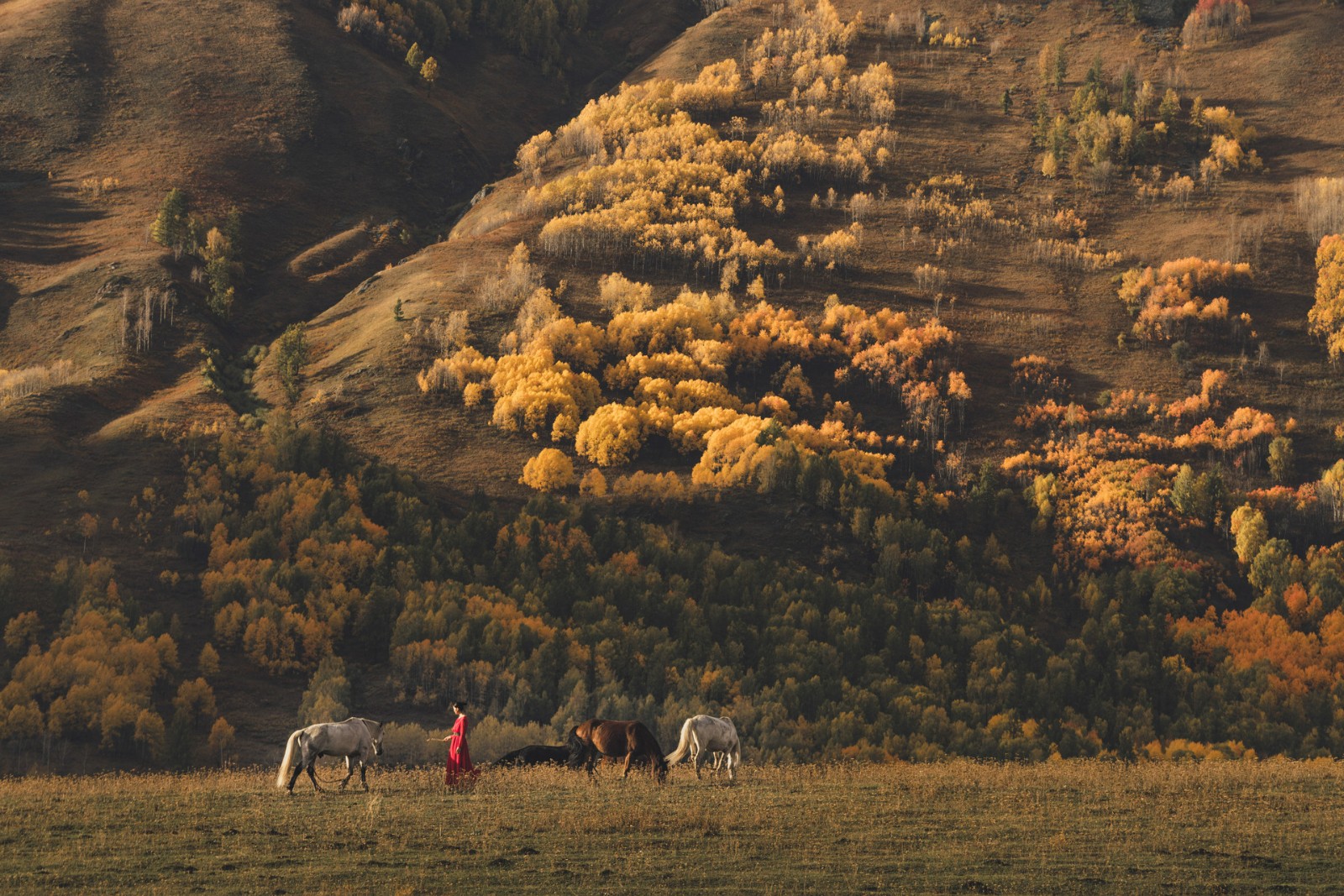 鲲鹏再起 中信金沙湾水乐园开园引爆海滩度假3.0