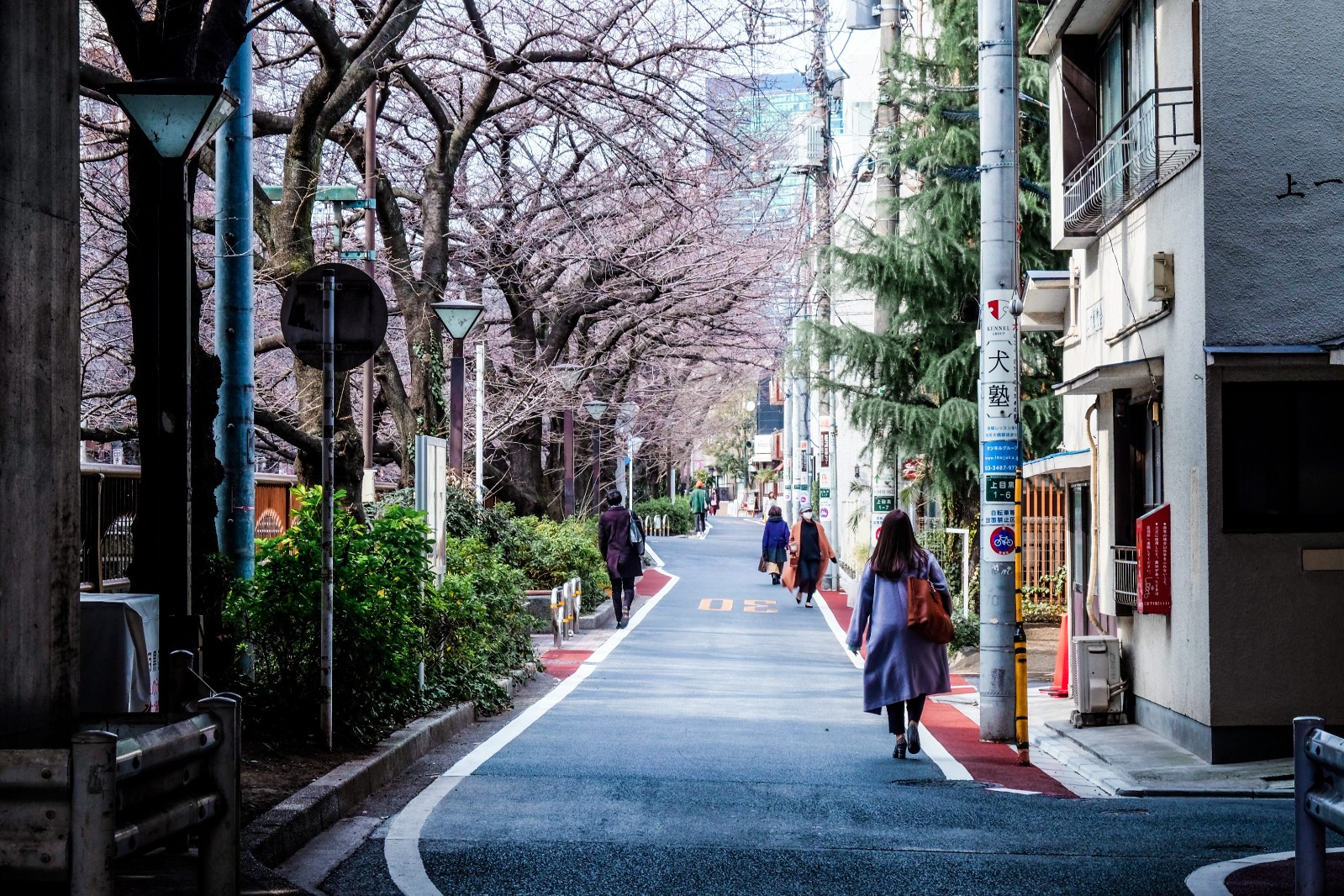 今年访日外国人预超2000万