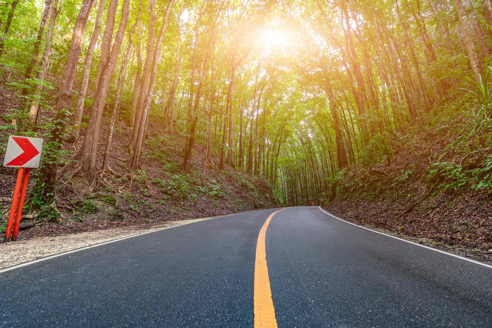 2022年十大最美农村路出炉